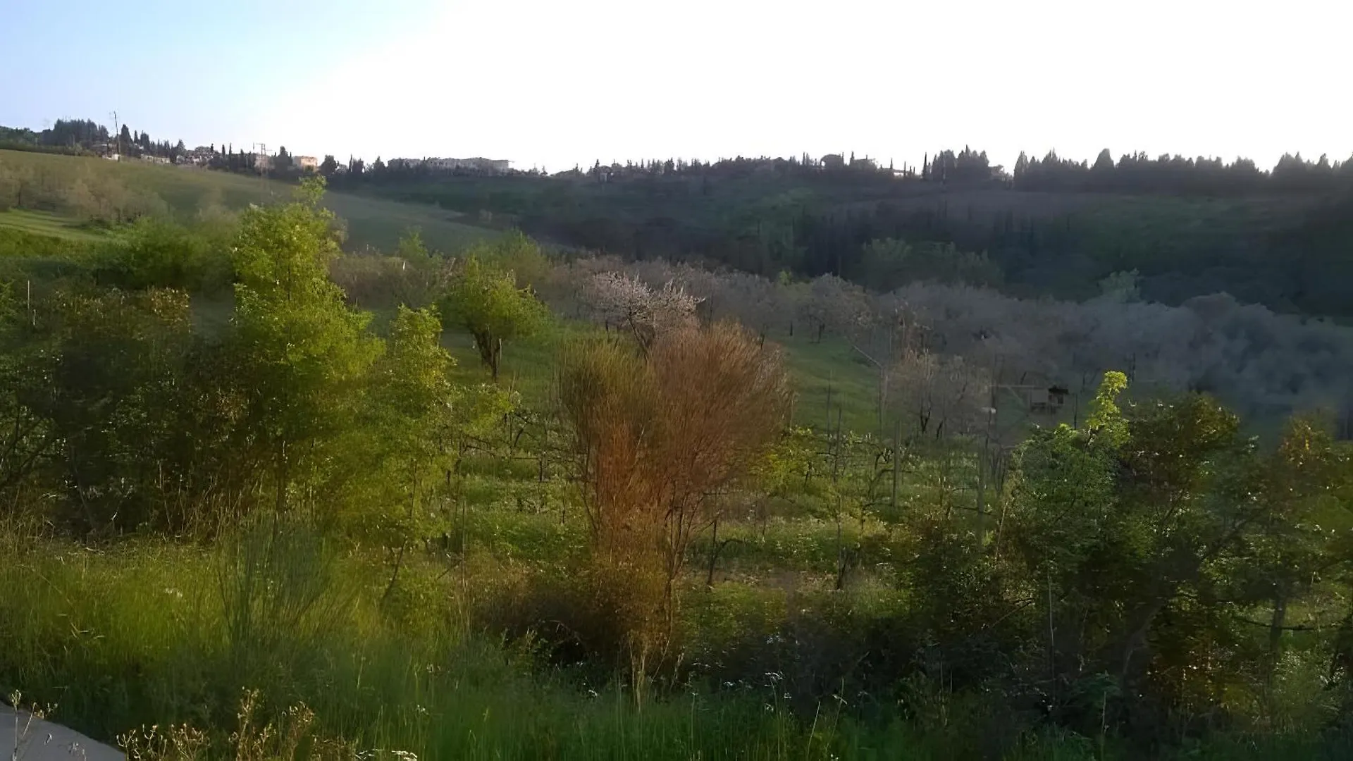 La Cantinetta Di Barberino Greve in Chianti Italy
