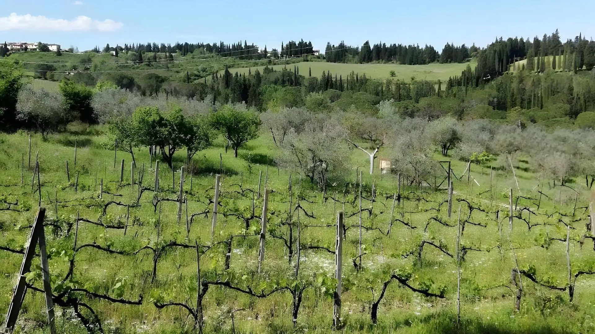 La Cantinetta Di Barberino Greve in Chianti 0*,